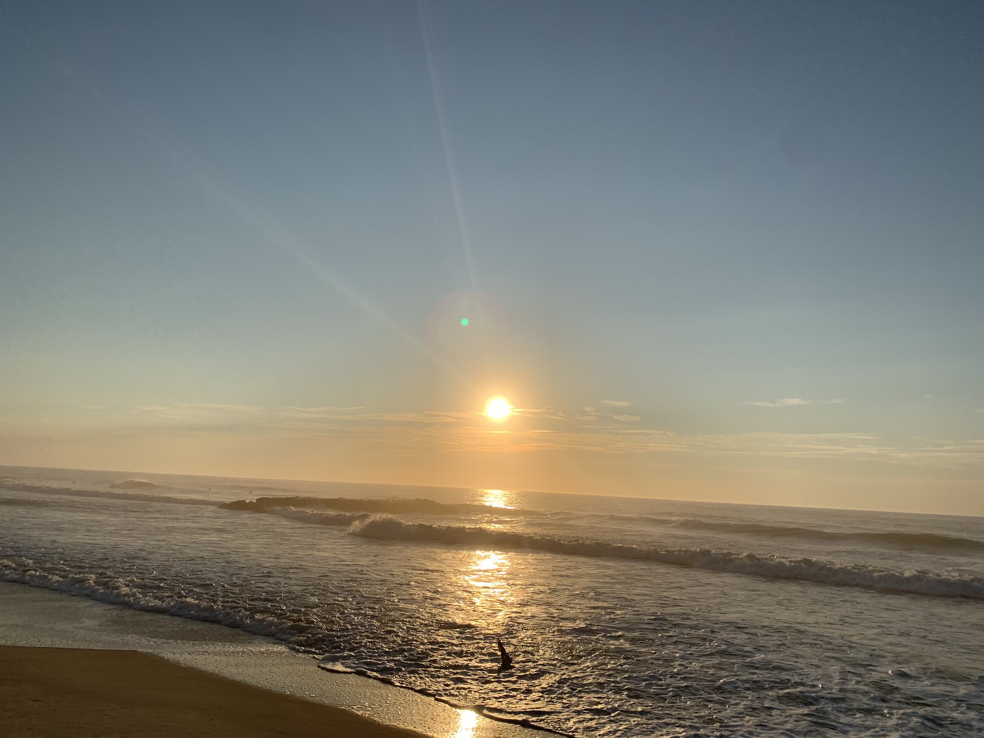John 9 NASB.  Golden sunshine glistening across the ocean as a seagull flies close to shore.