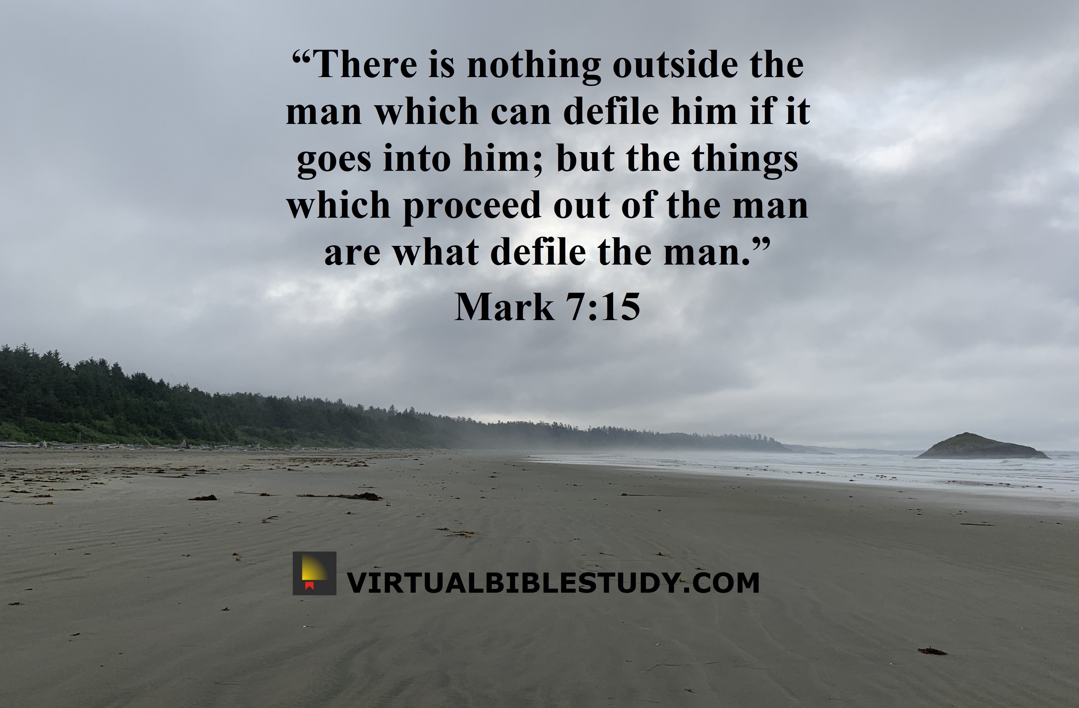 mark chapter 7 bible study