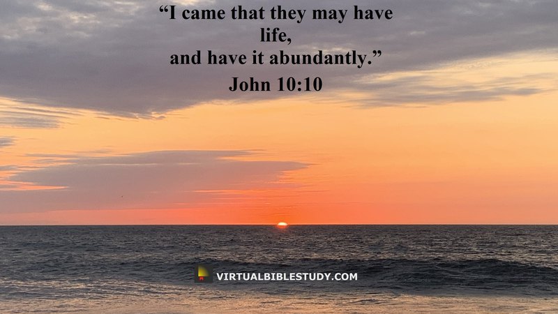 John 10 Chapter Text New American Standard Bible Nasb John 10 Chapter Text New John 10 Chapter Text New American Standard Bible Nasb John 10 Chapter Text New