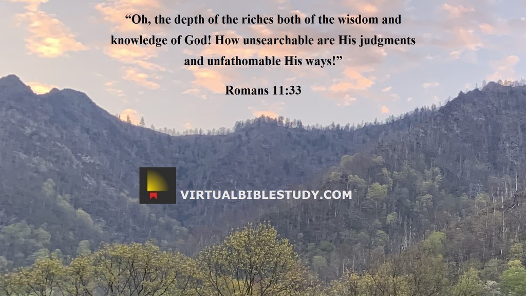 Romans 11 nasb romans 11 nasb