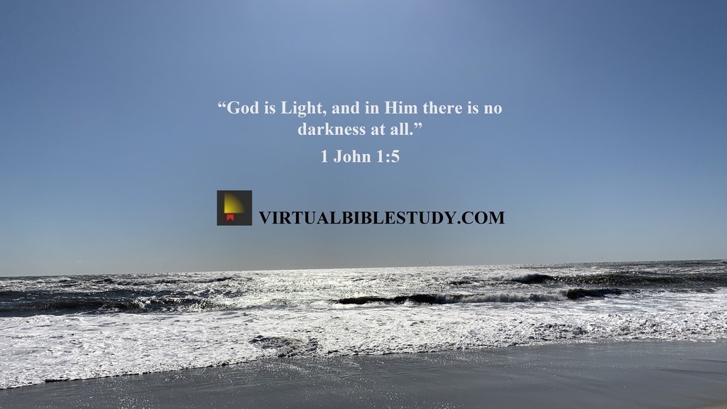 1 JOHN 1 NASB 1995 visual data 7