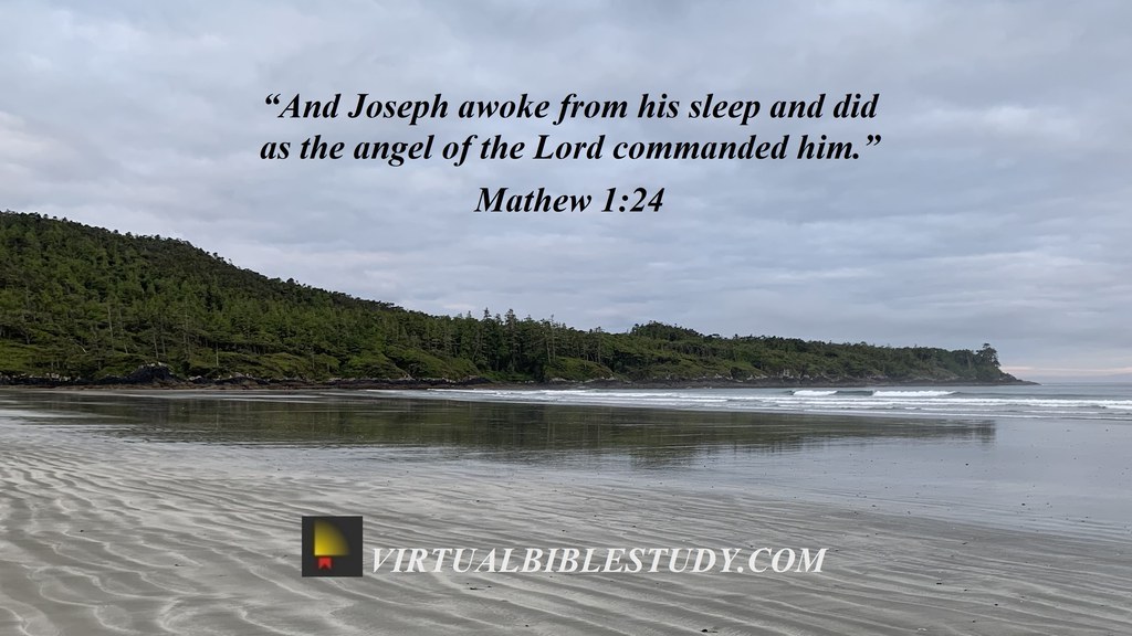 Matthew 1 | NASB - Virtual Bible Study™