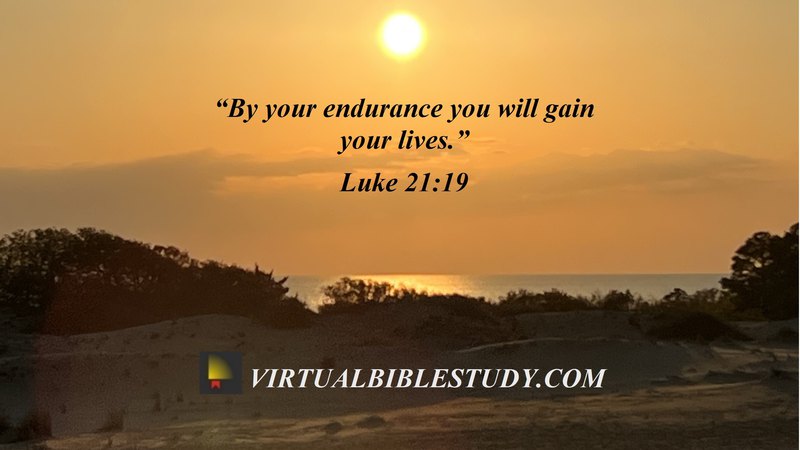 Luke 21 Lesson - Virtual Bible Study™