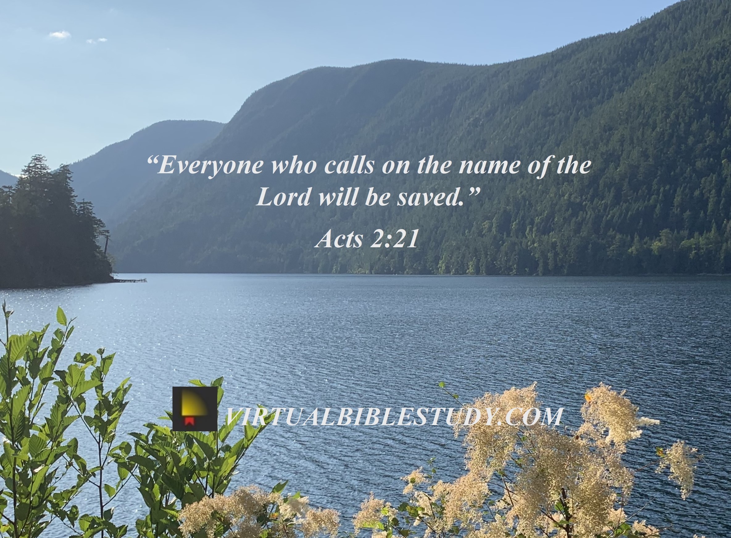 Acts 2 | NASB - Virtual Bible Study™