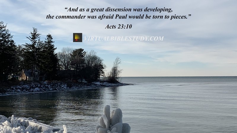 23+ Bible Verses About God's Creation (With Commentary) - Scripture Savvy