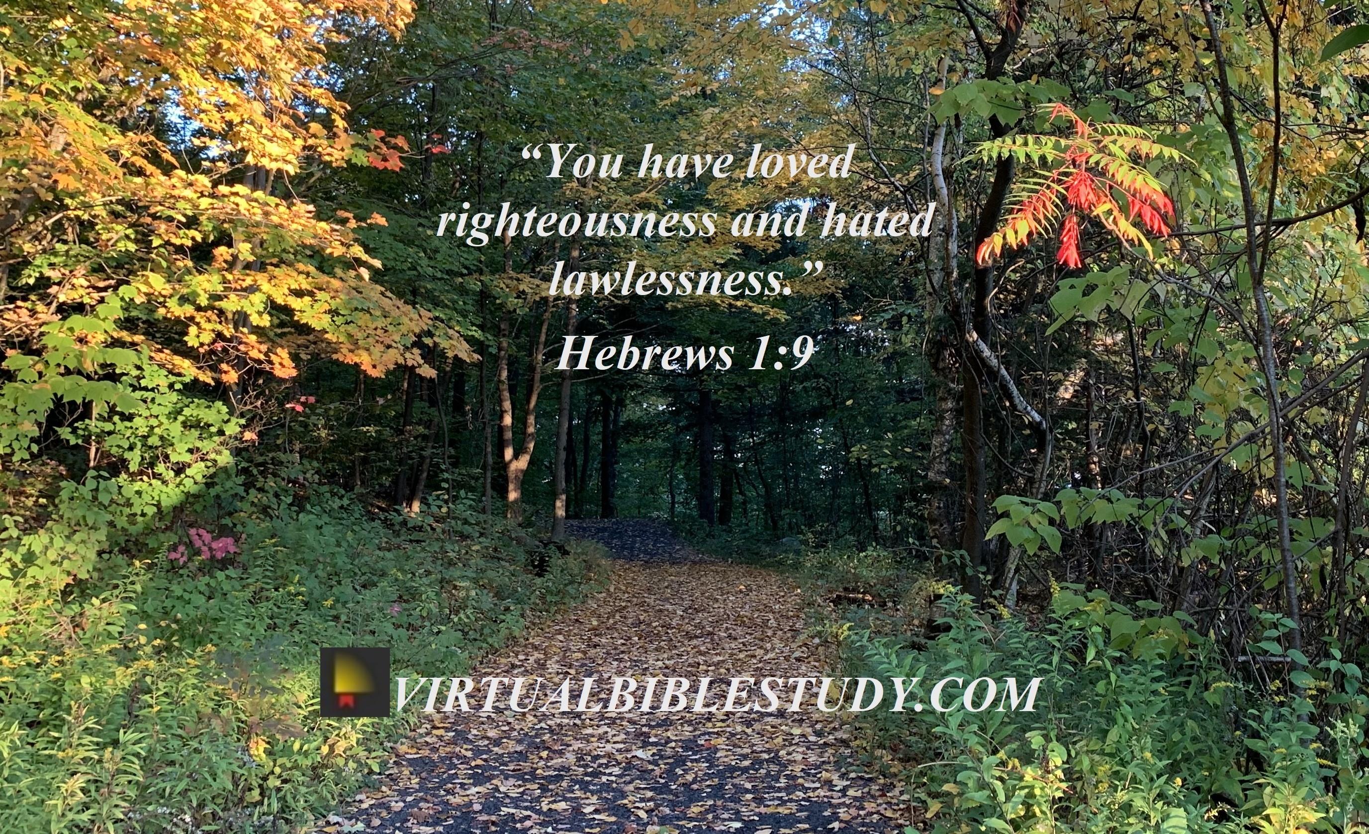 hebrews-1-lesson-virtual-bible-study