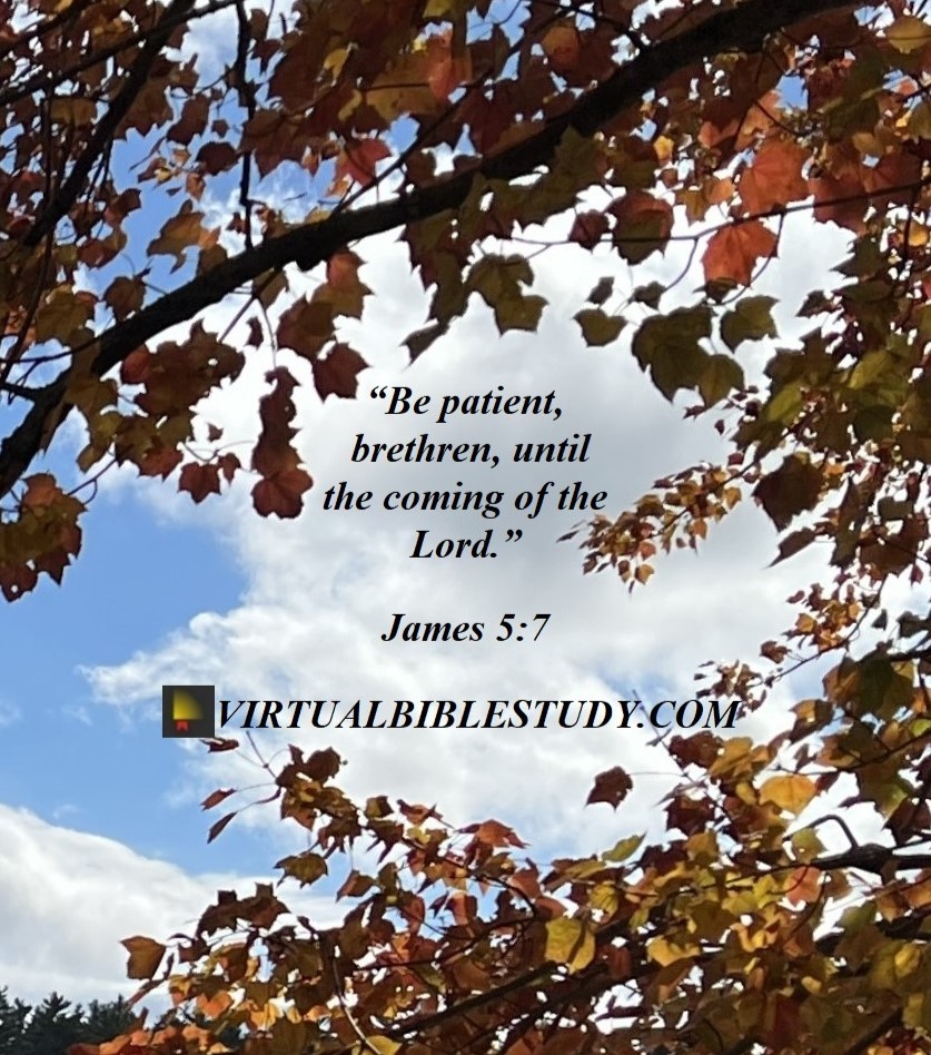 James 5 Lesson - Virtual Bible Study™