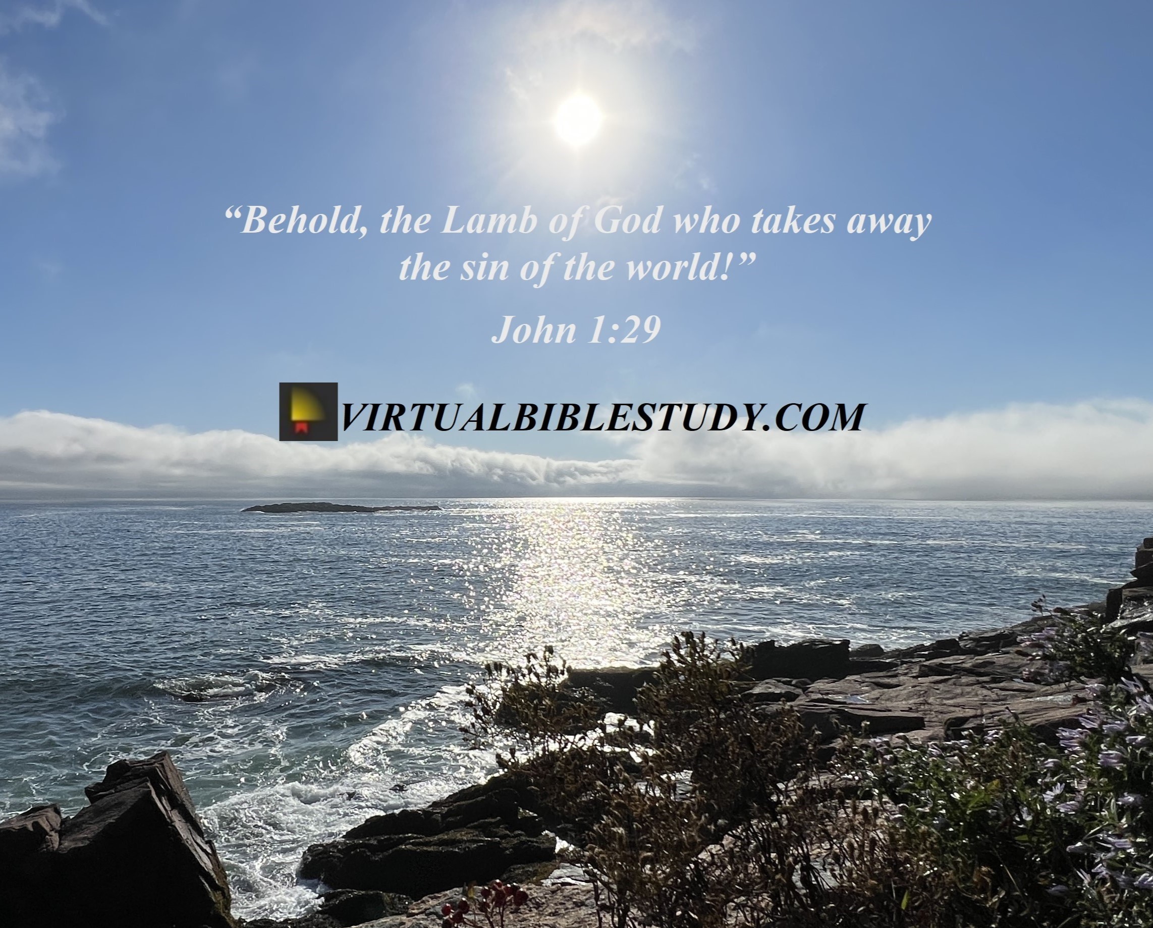 John 1 | NASB - Virtual Bible Study™