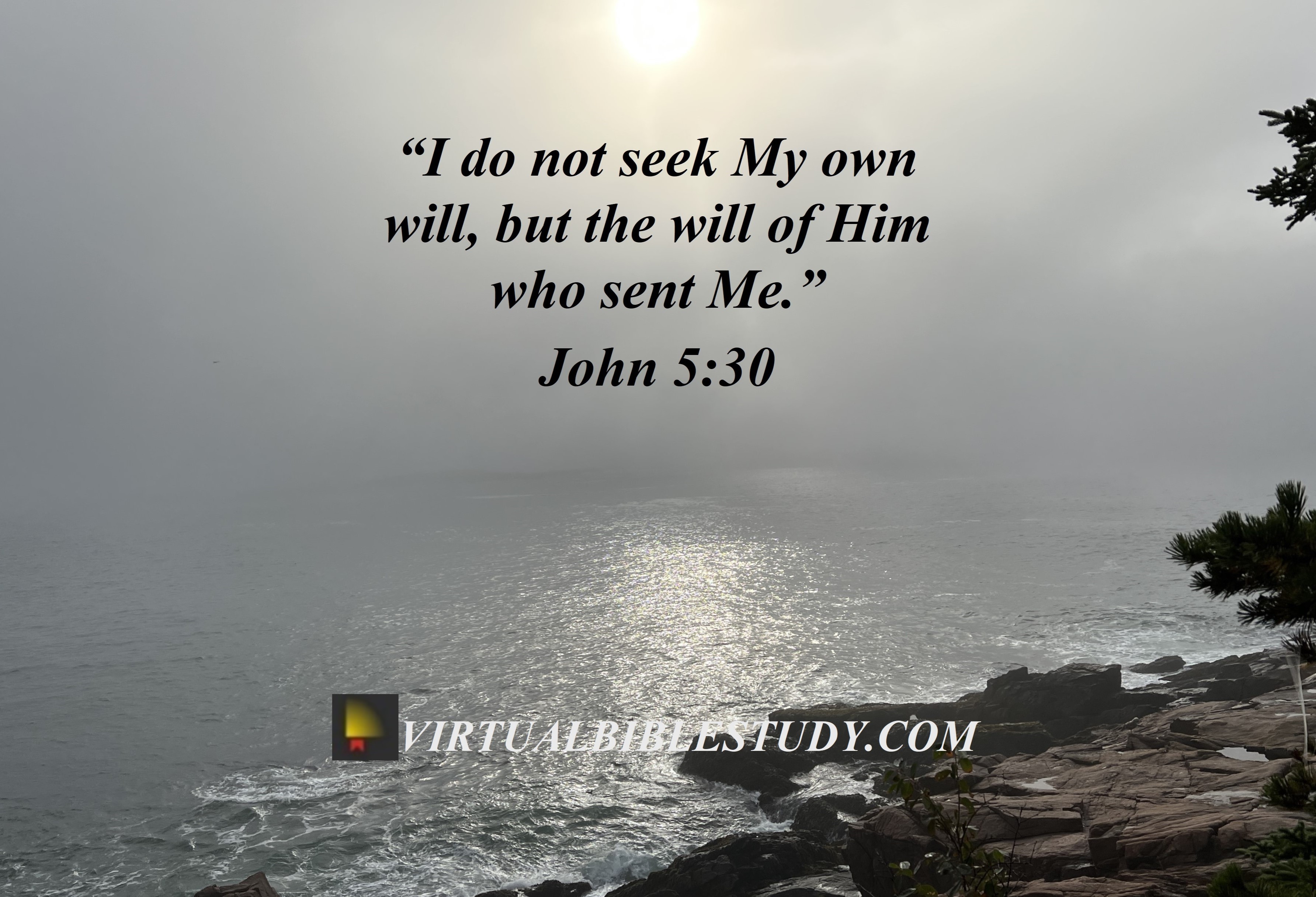 John 5 Lesson Virtual Bible Study