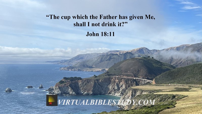 John 18 Lesson - Virtual Bible Study™