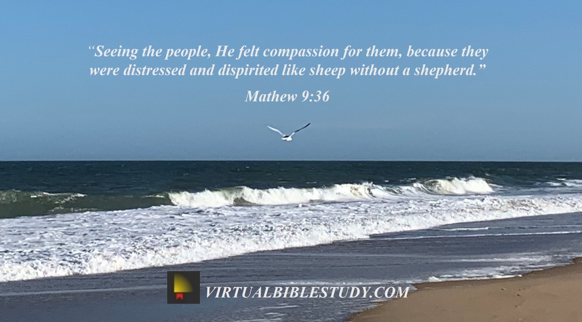 Matthew 9 | NASB - Virtual Bible Study™