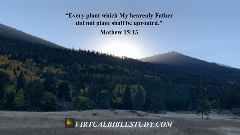 Matthew 15:13 He replied, “Every plant that my heavenly Father has