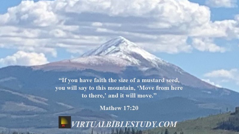 Mathew 17 Lesson - Virtual Bible Study™