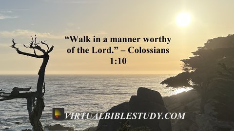 Colossians 1 Lesson - Virtual Bible Study™