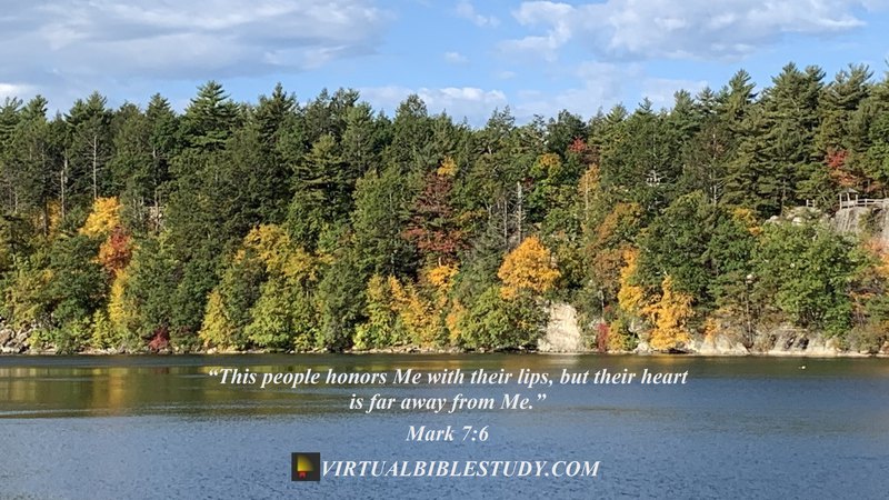 Mark 7 Lesson Virtual Bible Study