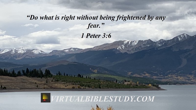 1 Peter 3 Lesson - Virtual Bible Study™