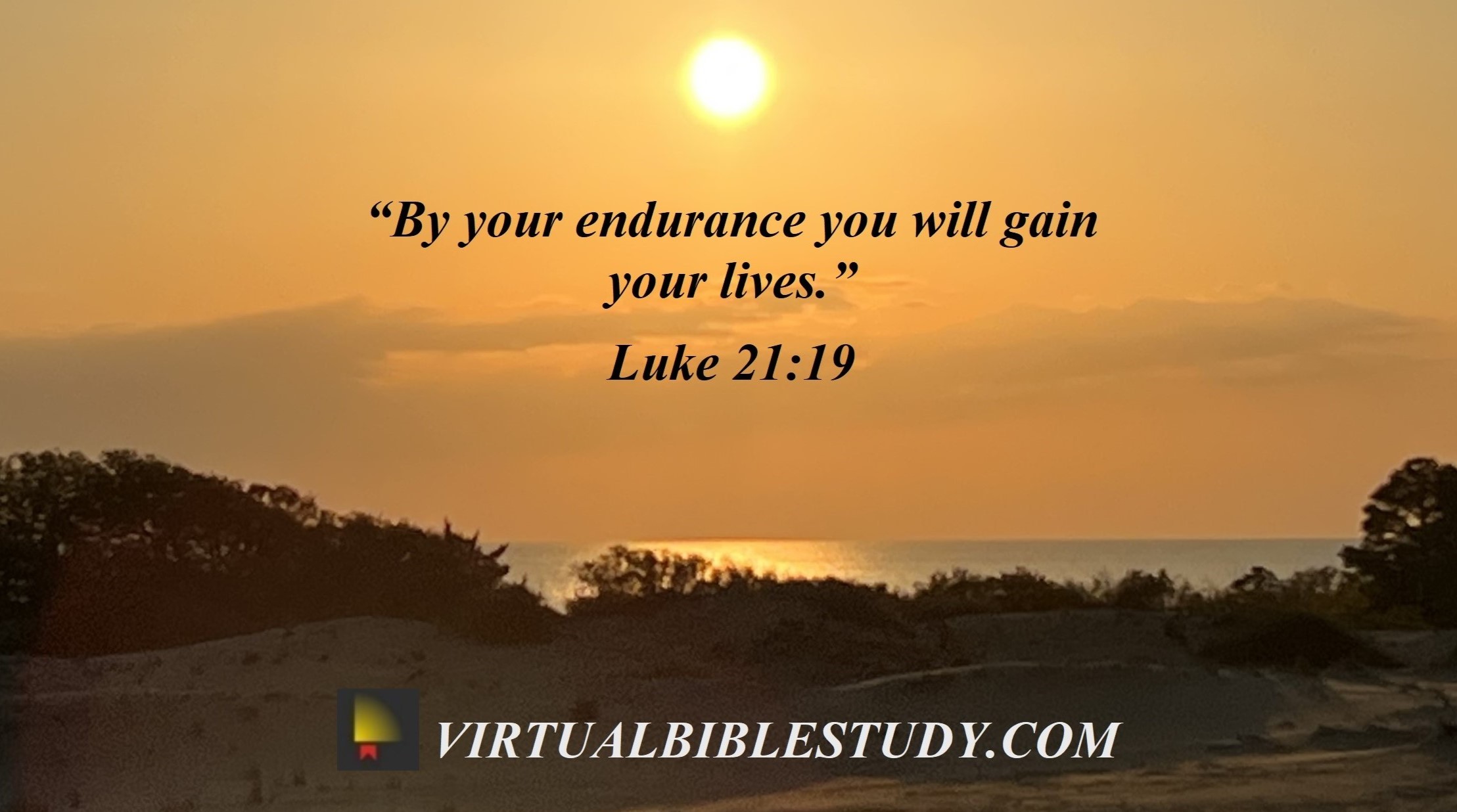 Luke 21 Lesson - Virtual Bible Study™