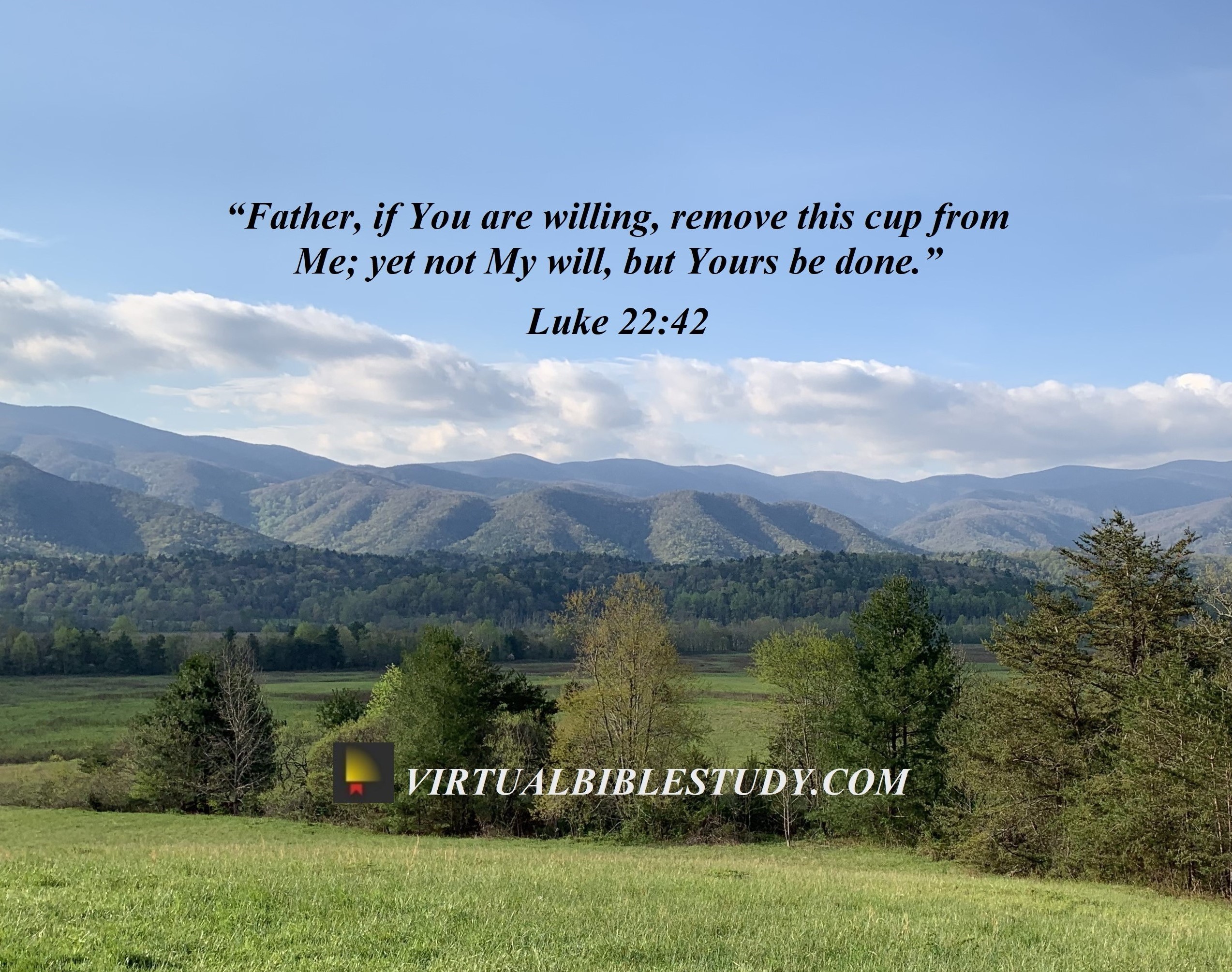 Luke 22 Lesson - Virtual Bible Study™